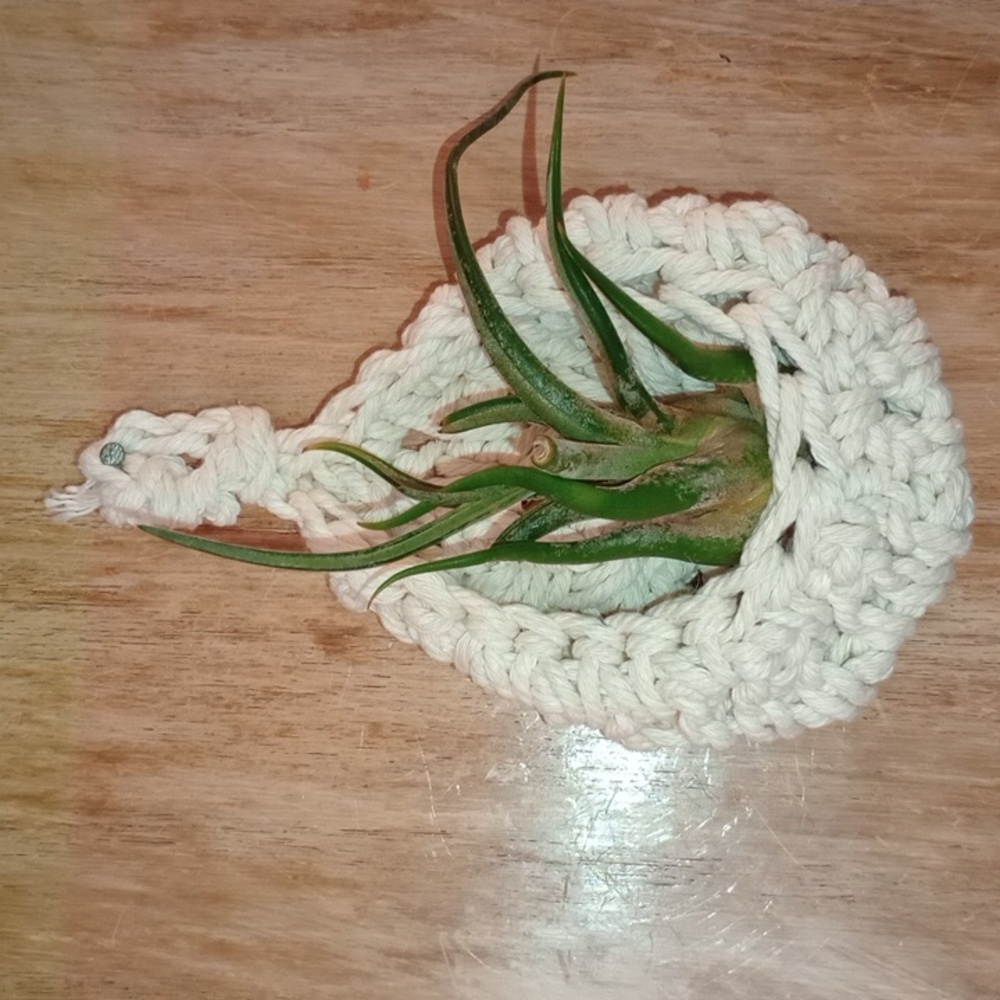 Air Plant/Mini Plant Hanger Basket, Cream, Crocheted, Boho Style, Pre-owned